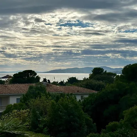 Les Palmiers De Santa Lucia - Vue Piscine Raphael * Saint-Raphaël