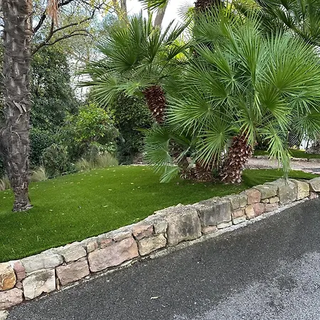 Les Palmiers De Santa Lucia - Vue Piscine Raphael *