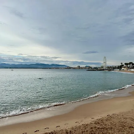 Les Palmiers De Santa Lucia - Vue Piscine Raphael
