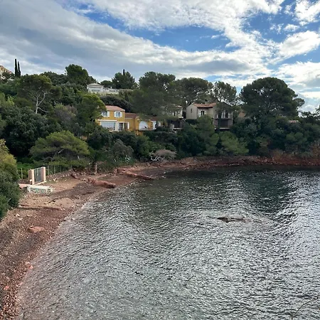 Les Palmiers De Santa Lucia - Vue Piscine Raphael *