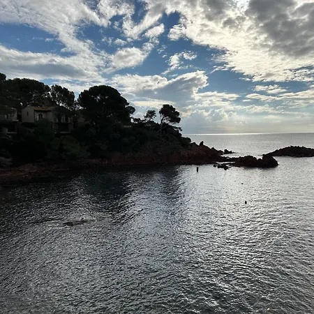Les Palmiers De Santa Lucia - Vue Piscine Raphael Saint-Raphaël