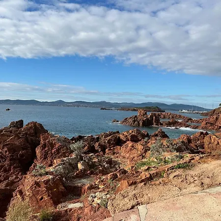Les Palmiers De Santa Lucia - Vue Piscine Raphael